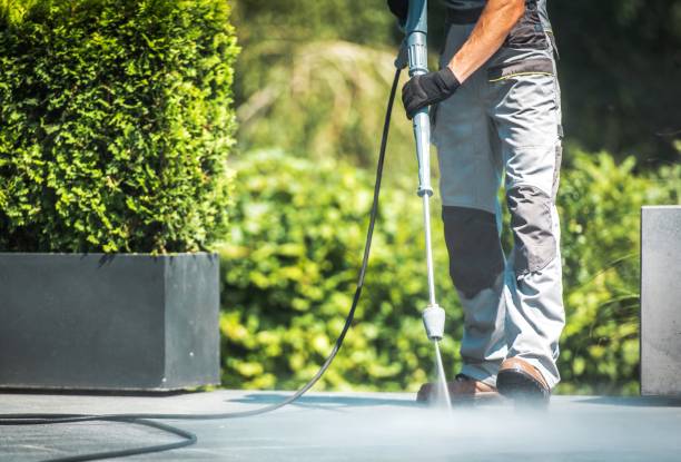 Best Pre-Holiday Cleaning  in Wendover, UT